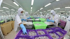WB: Vietnam's economy continues to show resilience