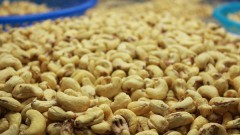 MoIT steps in to support exporters in Italy cashew nut scam