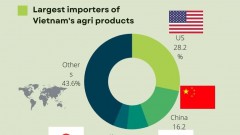 Agricultural exports: US becomes Vietnam's biggest consumer