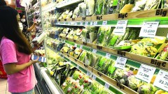 Promote production and export of vegetarian food