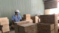 Wood industry faces fierce competition for imported raw materials
