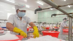 Ukraine conflict, COVID make it double-whammy for Vietnamese businesses