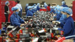 Foreign investors interested in Vietnam's future workforce