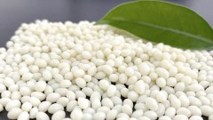 Made-in-Vietnam biodegradable materials to be sold in North America