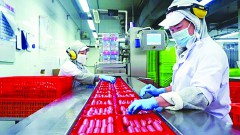 What are the growth scenarios for the coming quarters?