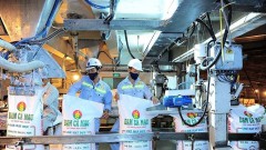 Fertilizer enterprises keep inheriting the opportunity to benefit