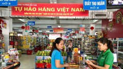 Vietnam should prioritise domestic market: experts