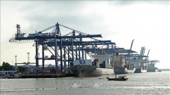 Growth target of 6.5 percent in 2022 reachable: Experts