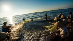 Infrastructure needs upgrading to develop modern fisheries sector