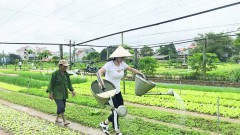 How to balance profit and green conversion goals?