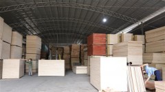 Domestic timber key to a sustainable industry