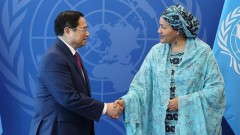 Vietnam to play more active role at UN: PM