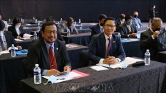 Vietnam eyes stronger trade, investment cooperation with South Africa