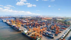 More room to develop Vietnam's international shipping fleet