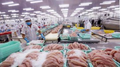 More prospects for Vietnam's seafood exports