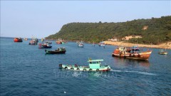 Appropriate policies needed for blue sea economic development
