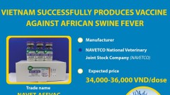Vietnam successfully produces vaccine against African swine fever