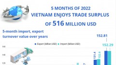 Vietnam enjoys trade surplus of 516 million USD