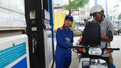 Finance ministry considers removing petrol price stabilization fund