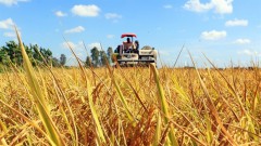 PM issues action plan on Mekong Delta development