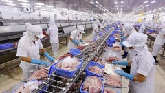 Enterprises expand catfish exports