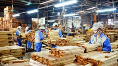 What is Vietnam wood industry's export market outlook?