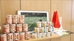 Vietnamese goods, foods introduced in UK