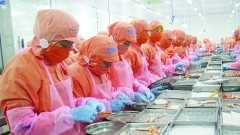 Vietnamese seafood has variety of opportunities to RCEP thanks to loosened origin rules