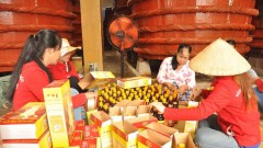 Authorities seek solutions to promote fish sauce exports