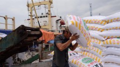 The outlook for Vietnam's fertilizer industry remains positive