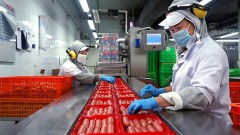 Vietnam’s meat industry: Challenges lie ahead 