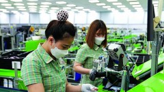 Processing and manufacturing industry attracts foreign investors