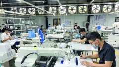 "Thirst" for&nbsp;capital in the middle of the price vortex