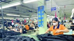 Four big challenges prevent Vietnam’s products entering Americas