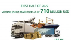 Vietnam enjoys trade surplus of 710 million USD in H1