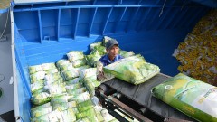 Continuing good news for Vietnamese rice brands