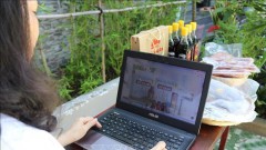 Programme boosting e-commerce development in Central Highlands