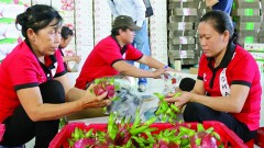 Vietnamese goods accelerate to penetrate the Cambodian market