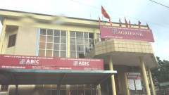 Has the appeal of insurance persisted?