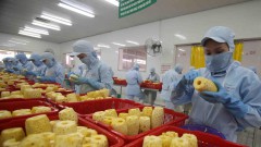 Vietnam aims to become world's top 10 agricultural processing centre