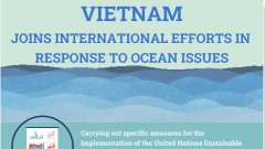 Vietnam joins international efforts in response to ocean issues