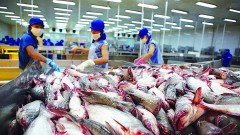 Seafood exports in the second half of the year will be weaker