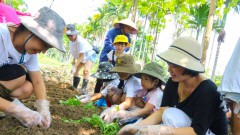 Vietnam boosts agro-tourism model