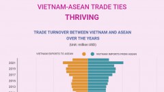 Vietnam-ASEAN trade relations thriving