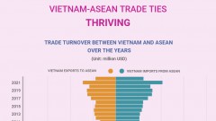 Vietnam-ASEAN trade relations thriving