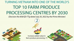 Vietnam eyes global top 10 in agricultural processing