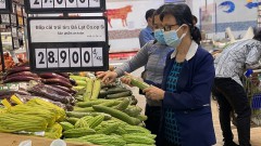 Accelerating the construction of a national database on prices