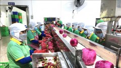 Workshop helps fresh fruit exporters learn about China’s new regulations