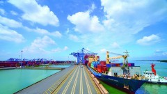 Logistics enterprises and shipping lines make great profits