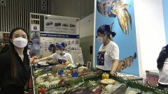 Global inflation begins to affect seafood exports